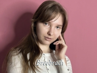Breebrach