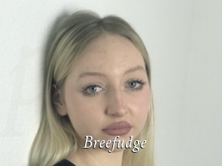 Breefudge