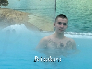 Brianhorn