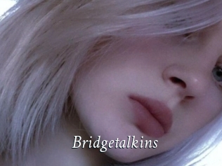 Bridgetalkins