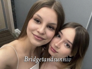 Bridgetandsunniv