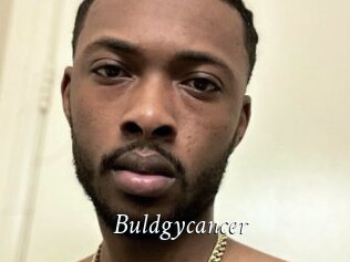 Buldgycancer