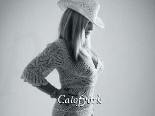 Catofyork