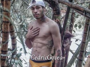 CedricGovea