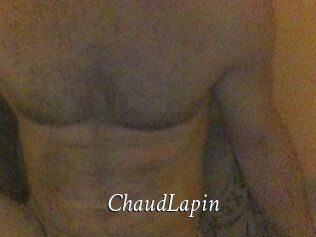 ChaudLapin