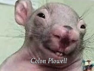 Colon_Plowell