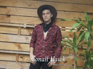 Conall_Hawk