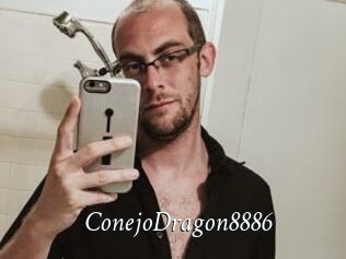 ConejoDragon8886