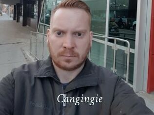 Cangingie