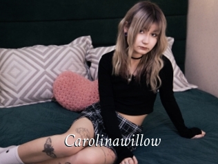 Carolinawillow