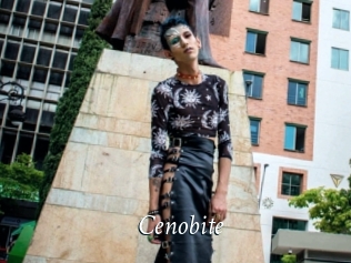 Cenobite