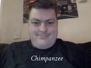 Chimpanzee