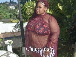 Chubby_bule