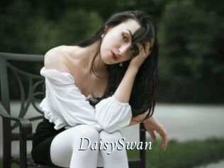 DaisySwan