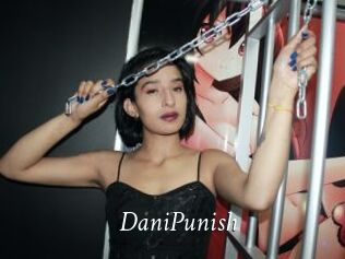 DaniPunish