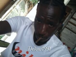 Delow1991