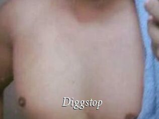 Diggstop