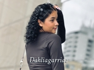 Dahliagarrido