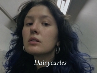 Daisycurles