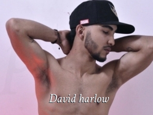 David_harlow