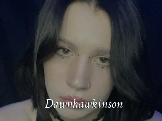 Dawnhawkinson