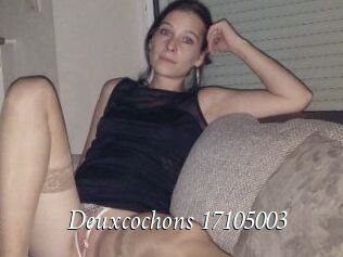 Deuxcochons