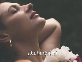 Divinakarni