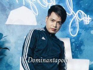 Dominantapolo