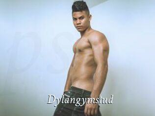 Dylangymstud