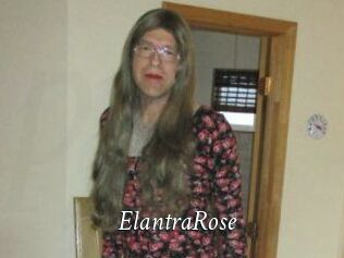 Elantra_Rose