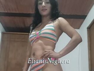 ElianisNoguera