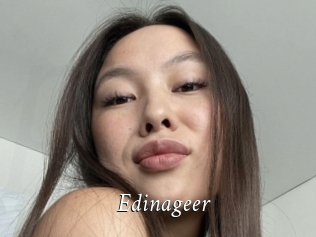 Edinageer