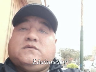 Edwinnestor