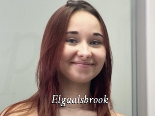 Elgaalsbrook