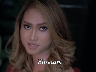 Elisecam