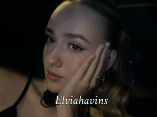 Elviahavins