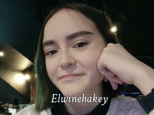 Elwinehakey