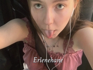 Erlenehane