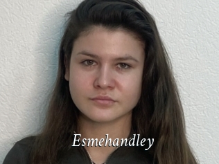 Esmehandley
