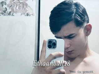 Ethaanbull18