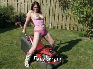 Feuchteywi