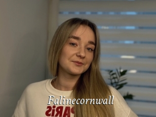 Falinecornwall