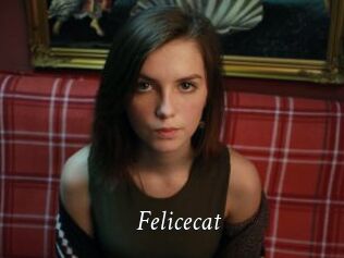 Felicecat