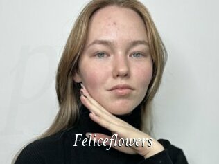 Feliceflowers