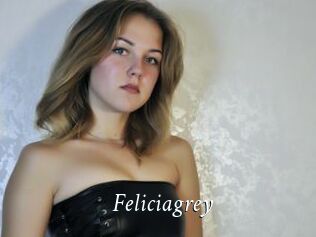 Feliciagrey