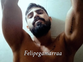 Felipegamarraa