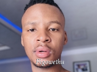 Figowethu