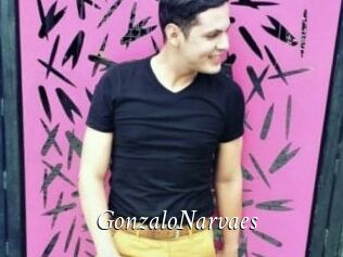 GonzaloNarvaes