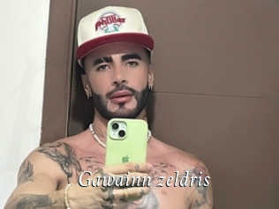 Gawainn_zeldris
