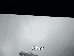 Graco